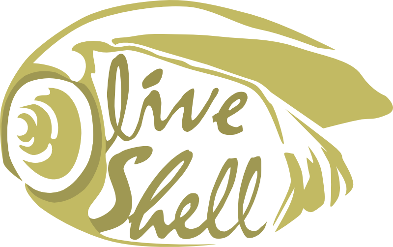 Olive Shell